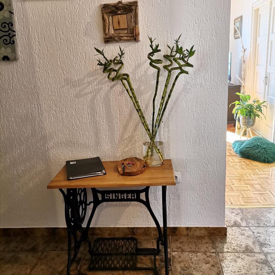 Apartman Flavia Rijeka Extérieur photo